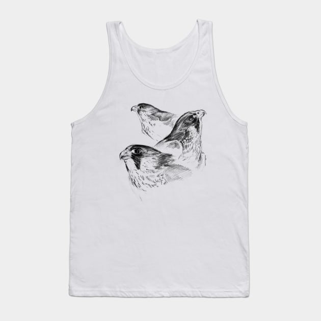 Three Peregrines Art Sketch Tank Top by RebeccaLatham